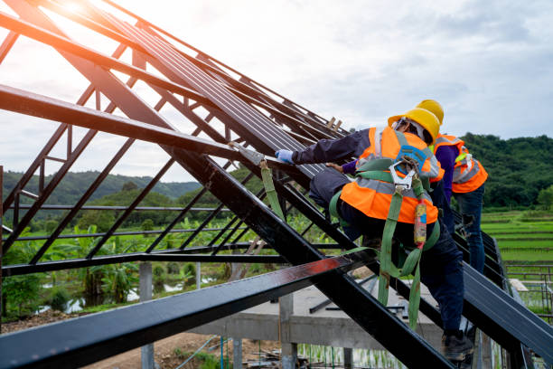 Best Local Roofing Companies  in North Alamo, TX